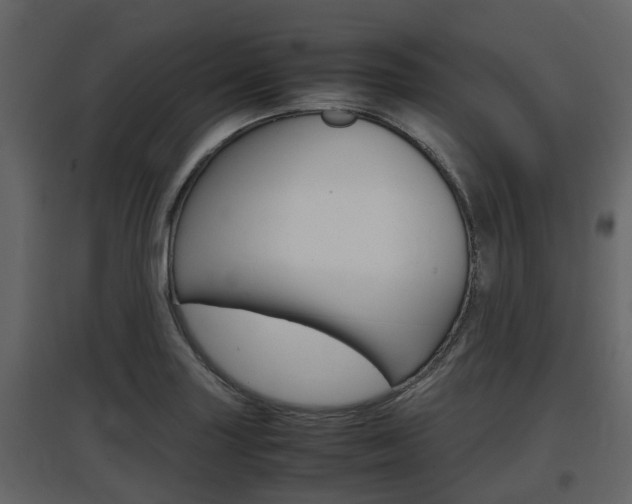 X0000097801227200803140729