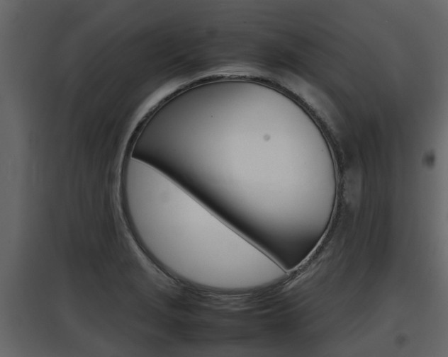 X0000097801229200803140729