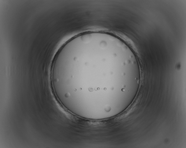 X0000097801231200803140729