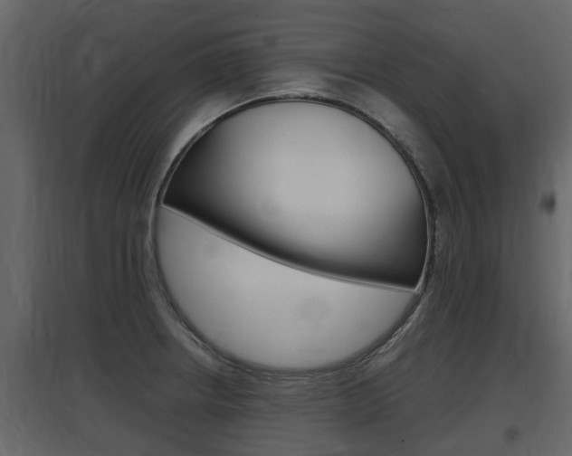 X0000097801234200803140729