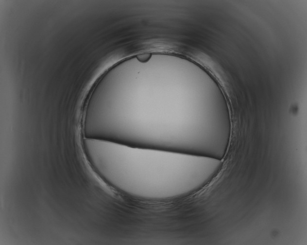 X0000097801235200803140729