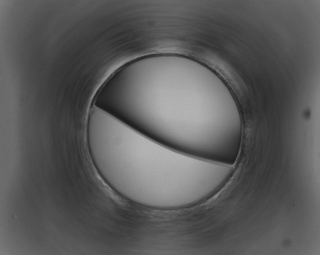 X0000097801236200803140729