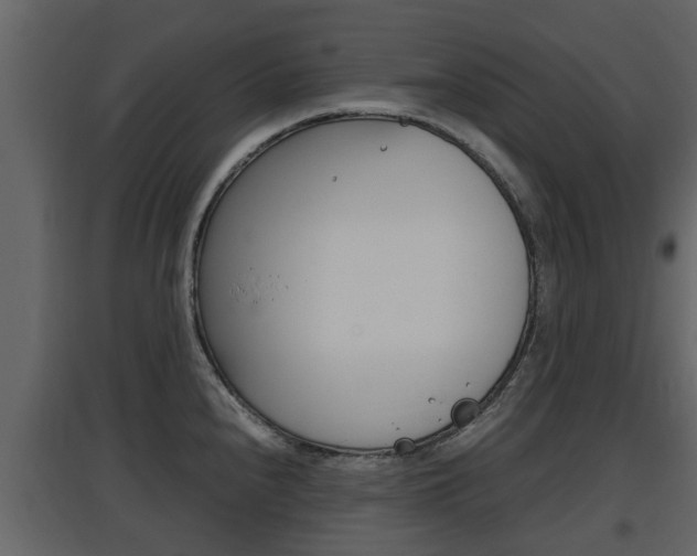 X0000097801240200803140729