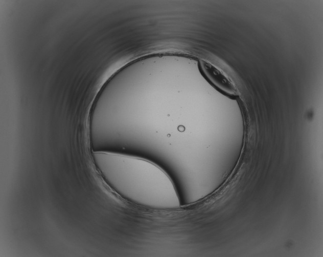 X0000097801242200803140729