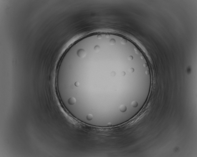 X0000097801245200803140729