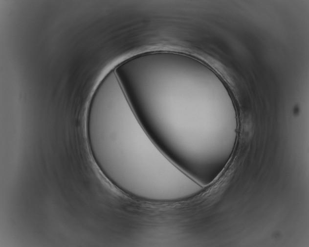 X0000097801246200803140729