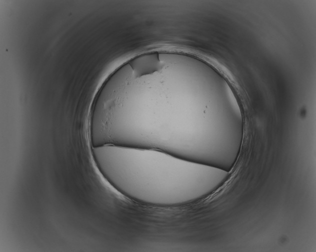 X0000097801247200803140729