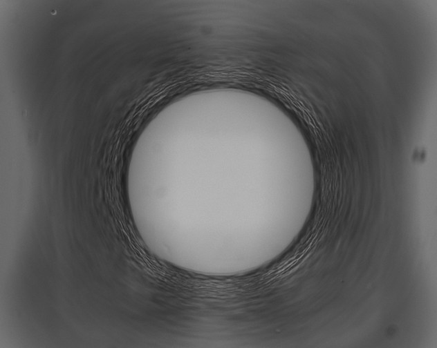 X0000097801249200803140728