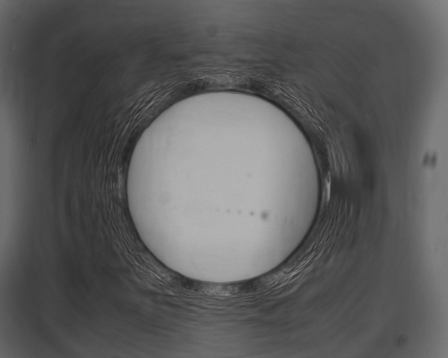 X0000097801251200803140728