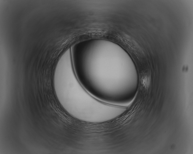 X0000097801252200803140728