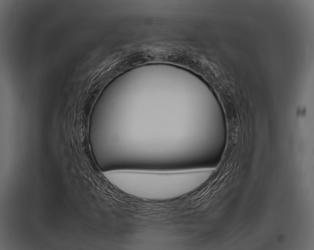 X0000097801253200803140728