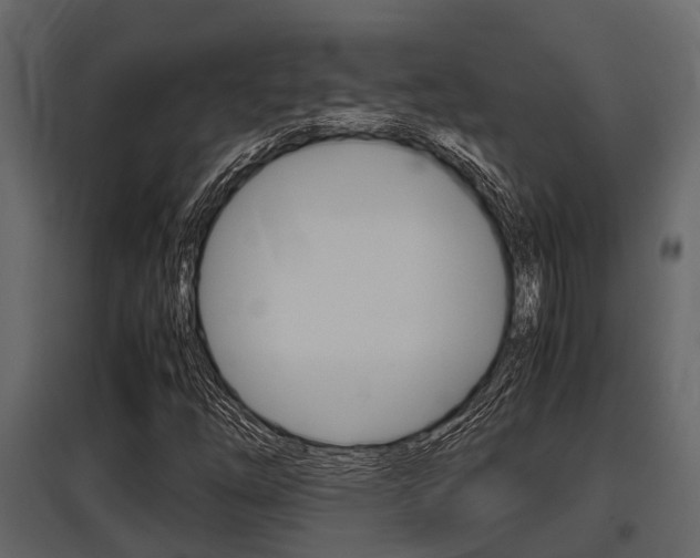 X0000097801254200803140728