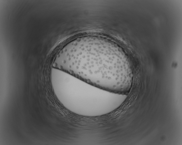 X0000097801255200803140728