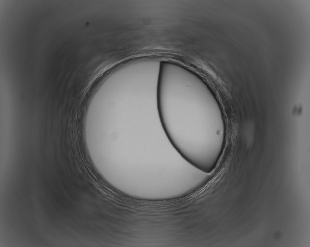 X0000097801259200803140728