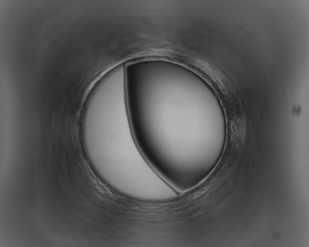 X0000097801260200803140728