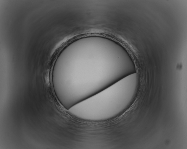 X0000097801262200803140728