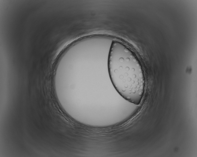 X0000097801263200803140728