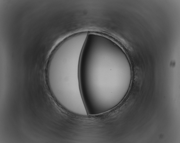 X0000097801264200803140728
