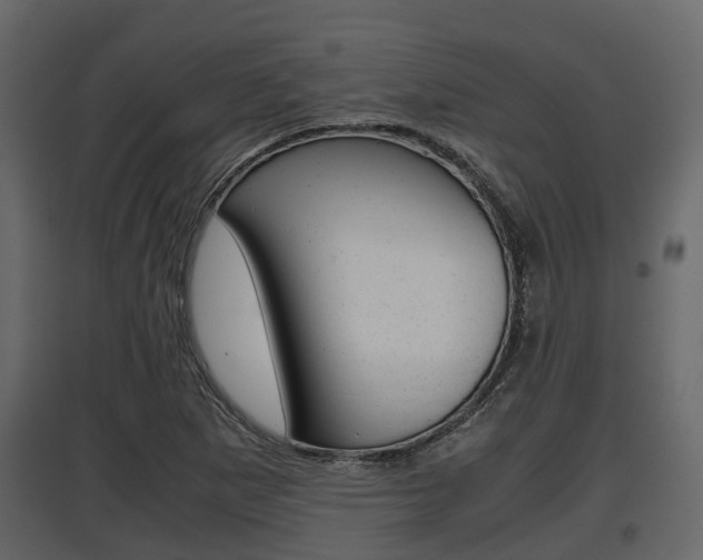 X0000097801265200803140728