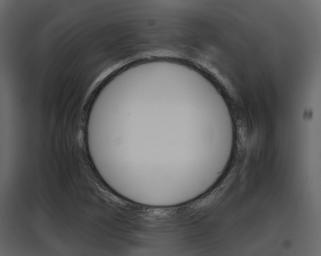 X0000097801266200803140728
