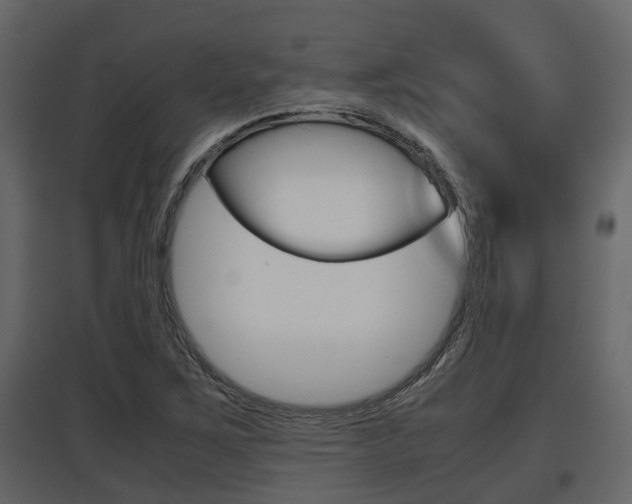 X0000097801267200803140728