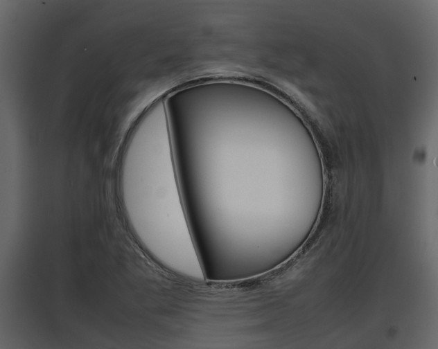 X0000097801269200803140728