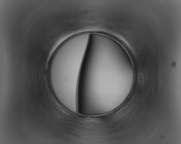 X0000097801270200803140728