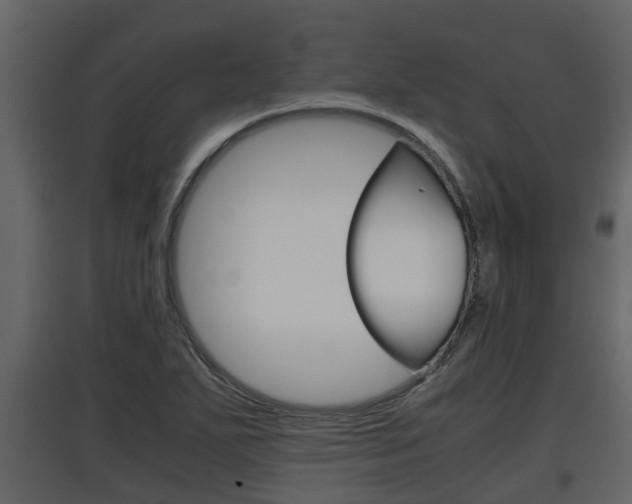 X0000097801271200803140728