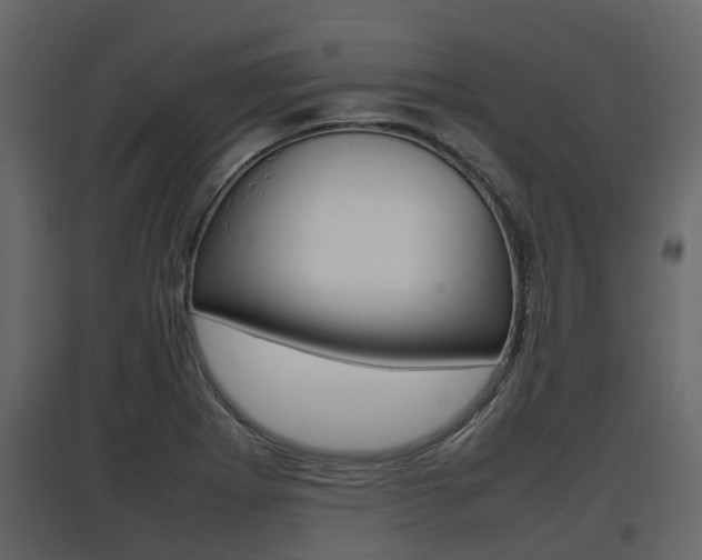 X0000097801273200803140728