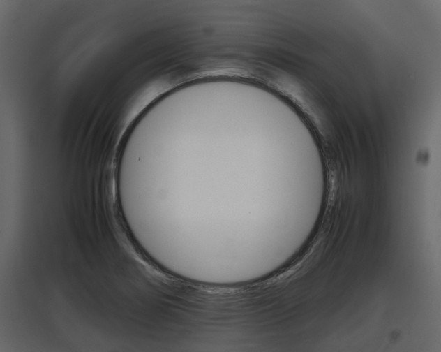 X0000097801274200803140728