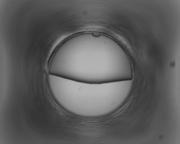 X0000097801275200803140728