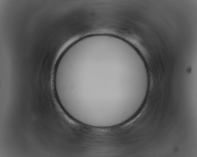 X0000097801278200803140728