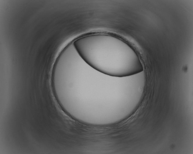 X0000097801279200803140728