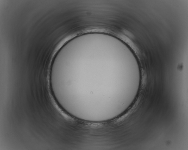 X0000097801282200803140728