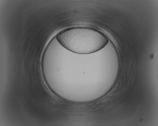 X0000097801283200803140728