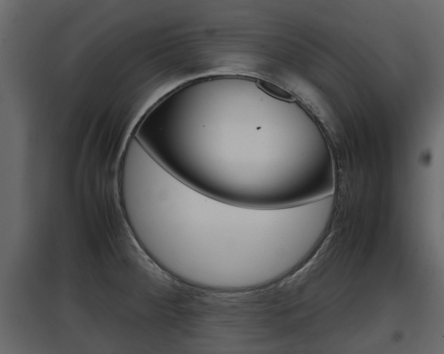 X0000097801284200803140728