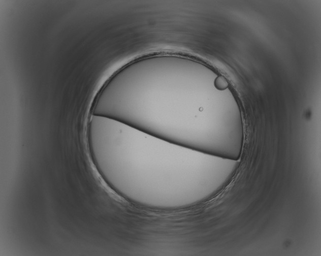 X0000097801287200803140728