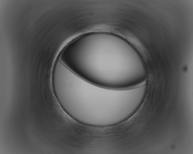X0000097801288200803140728