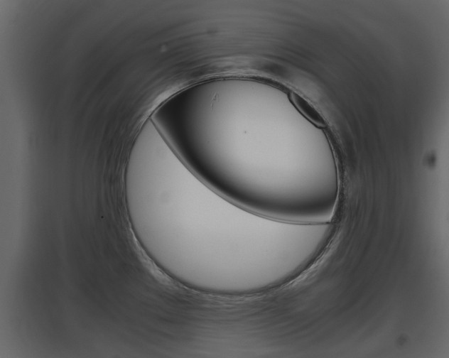 X0000097801289200803140728