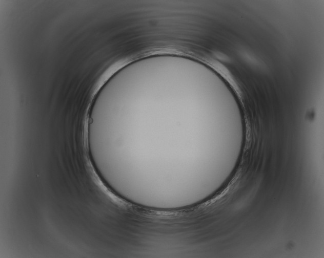 X0000097801290200803140728