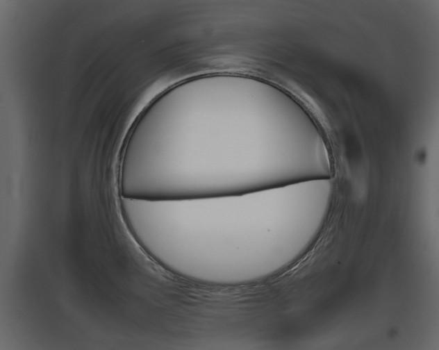 X0000097801291200803140728