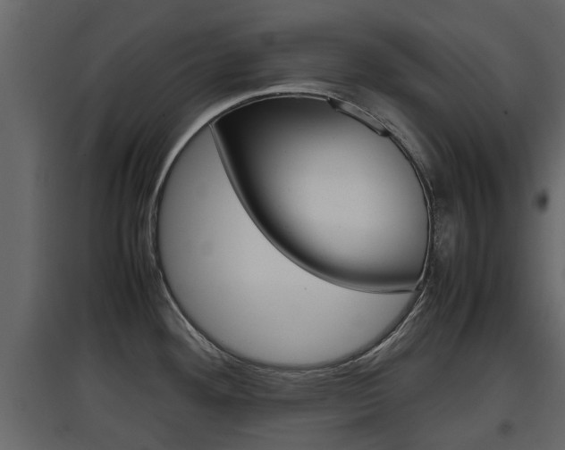 X0000097801292200803140728