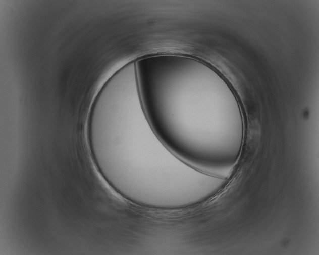 X0000097801293200803140728