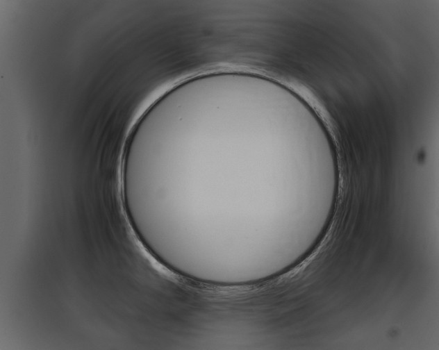 X0000097801294200803140728