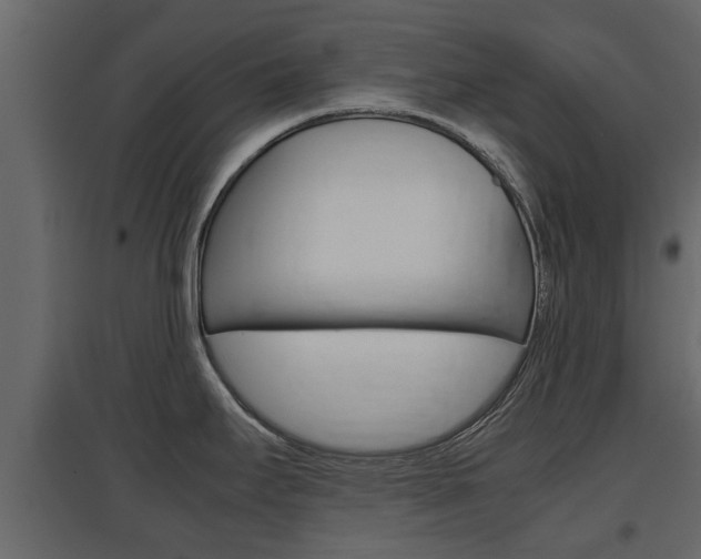 X0000097801295200803140728