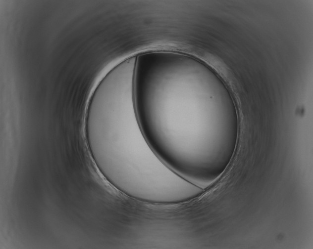 X0000097801296200803140728