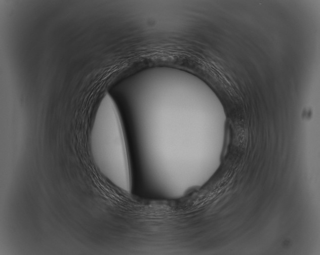 X0000097801297200803140727