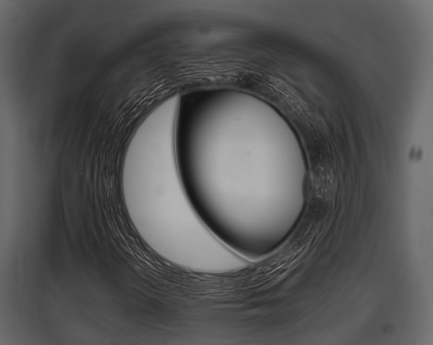 X0000097801298200803140727
