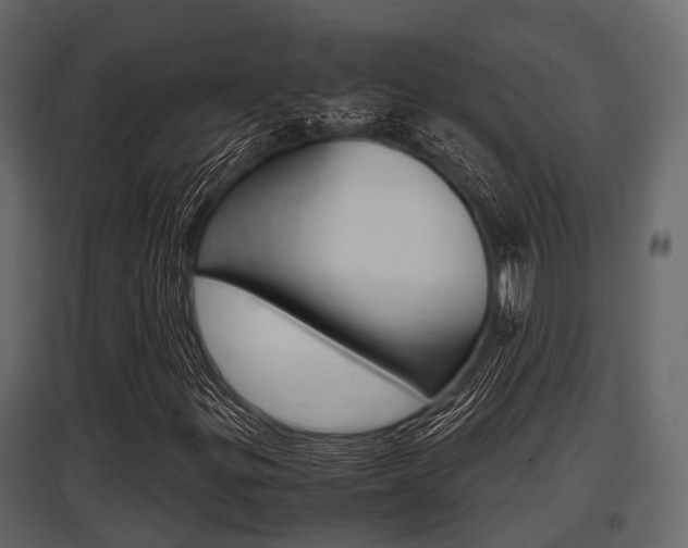 X0000097801299200803140727