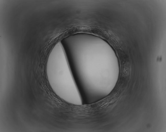 X0000097801301200803140727